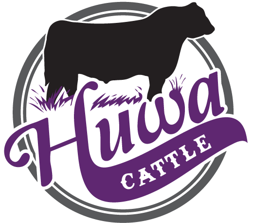 Huwa Cattle Company (525x464)