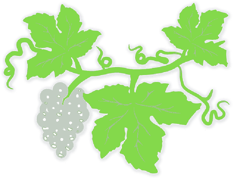 Green Leaf Border Clip Art - Grape (800x612)