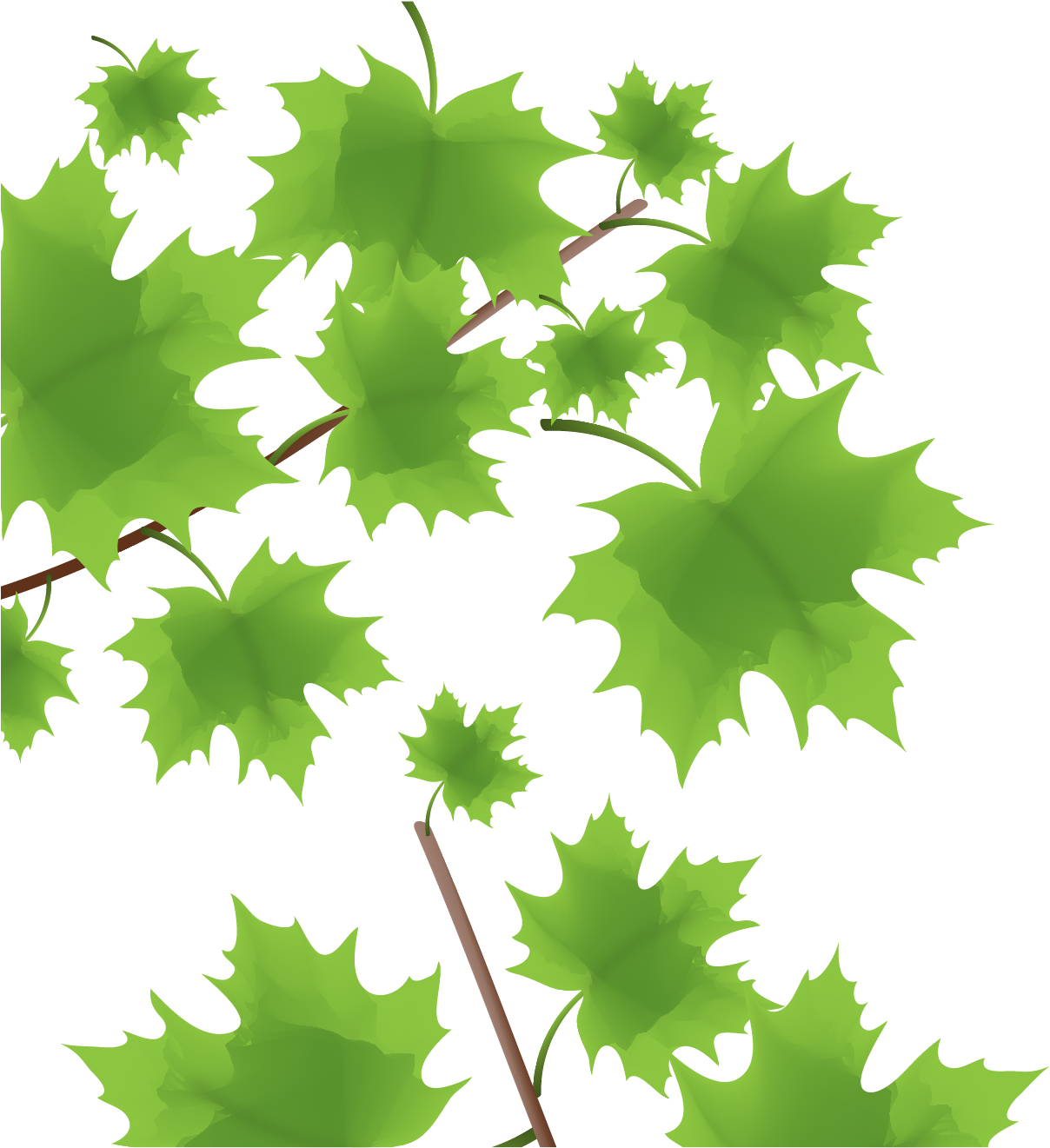 Green Maple Leaf - Maple Leaf (1460x1674)