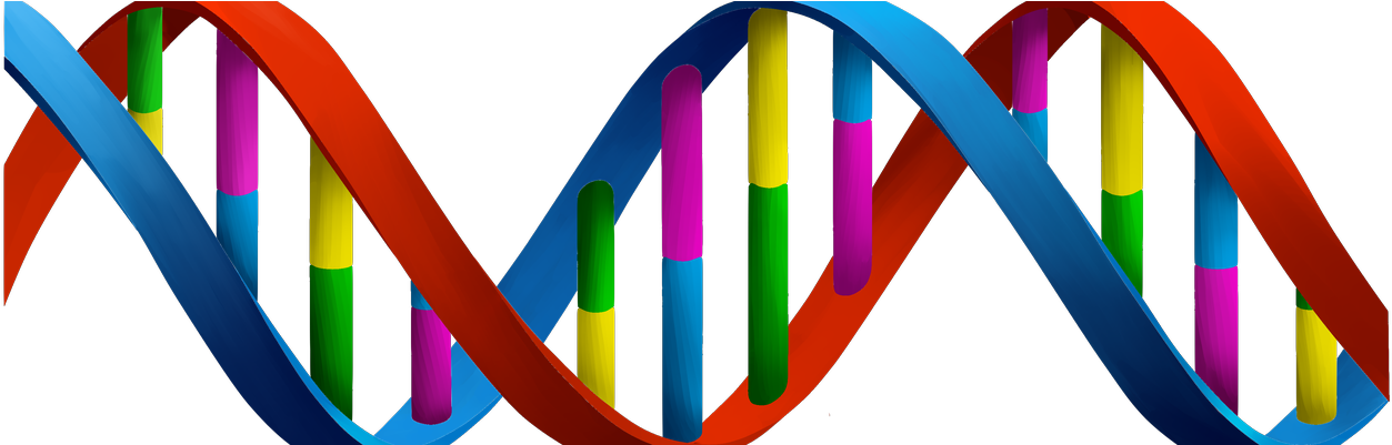 To Print The Story Please Do So Via The Link In The - Dna Transparent (1441x400)