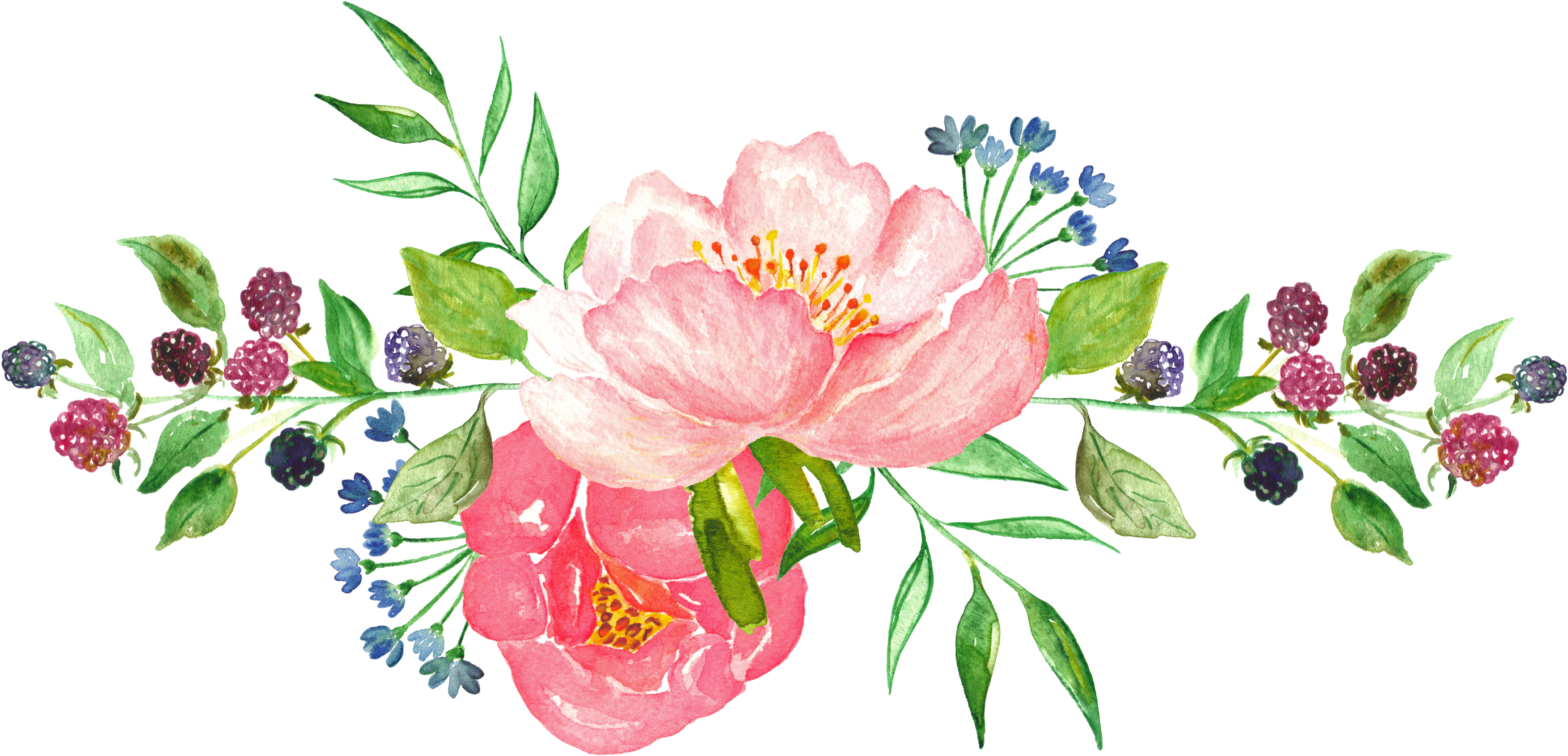 Watercolor Flowers 3506 1992 Transp Png Free Pink - Watercolor Flowers Flowers Png (3506x1992)