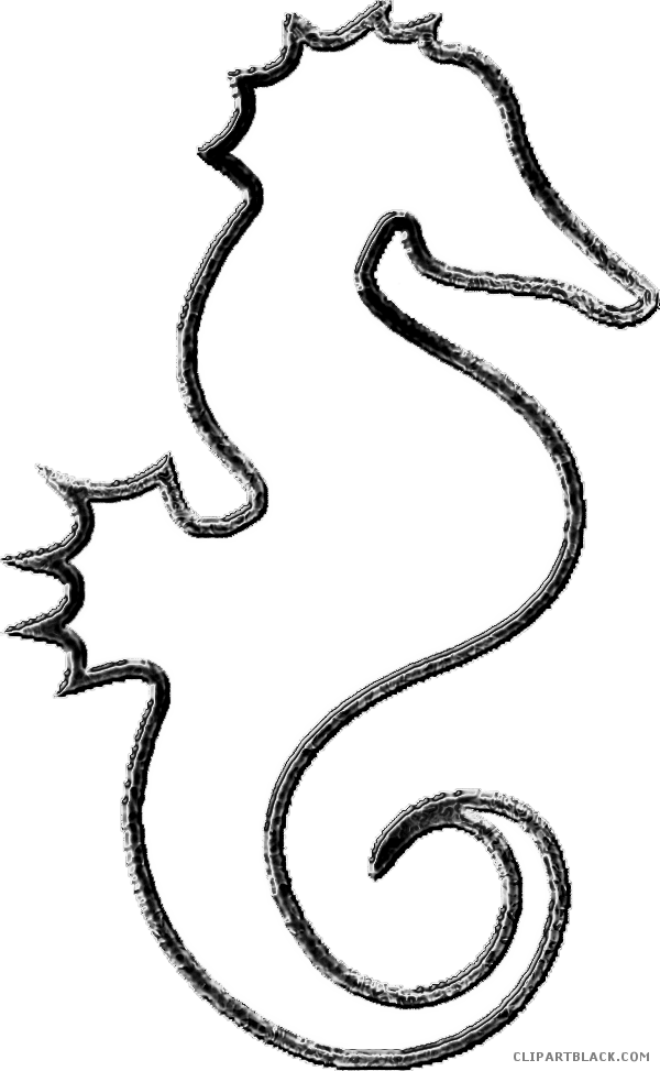 Seahorse Outline Animal Free Black White Clipart Images - Sea Horse Line Art (600x973)