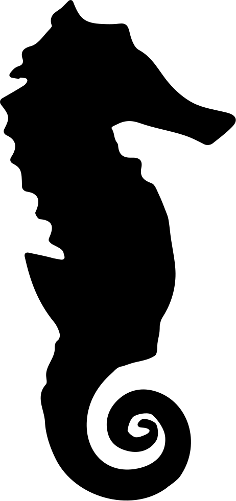 Seahorse Silhouette Comments - Seahorse Silhouette (462x981)