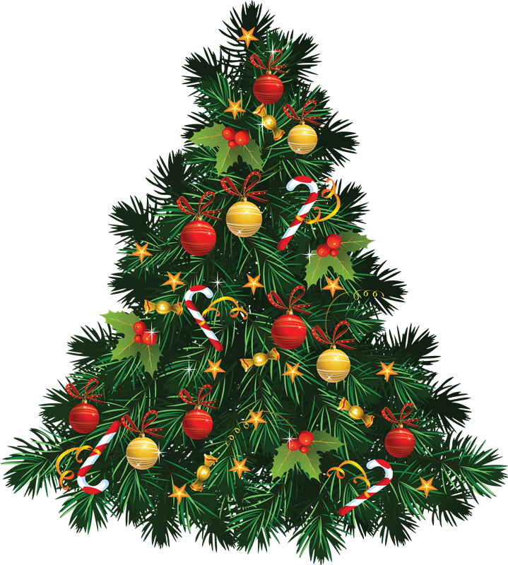 La Navidad Y Sus Tradiciones - Christmas Tree Images Png (719x800)