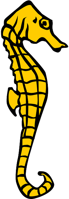 Seahorse, Yellow, Heraldry, Ocean, Marine, Sea - Seahorse Clipart (320x640)