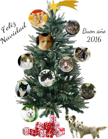 Salud De Todos Nosotros Para Mis Amigos, Para Los Que - Christmas (378x458)