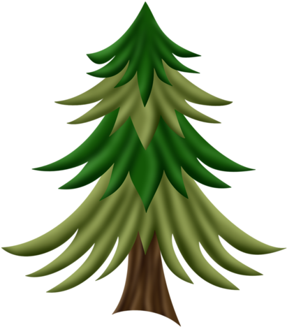 Fir Tree - Christmas Tree (428x500)