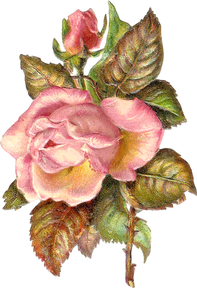 I Love These Antique Frame Graphics With Gorgeous Rose - Planner Pom Pom Charm - Key Chain - Bag Charm - Purse (802x1132)