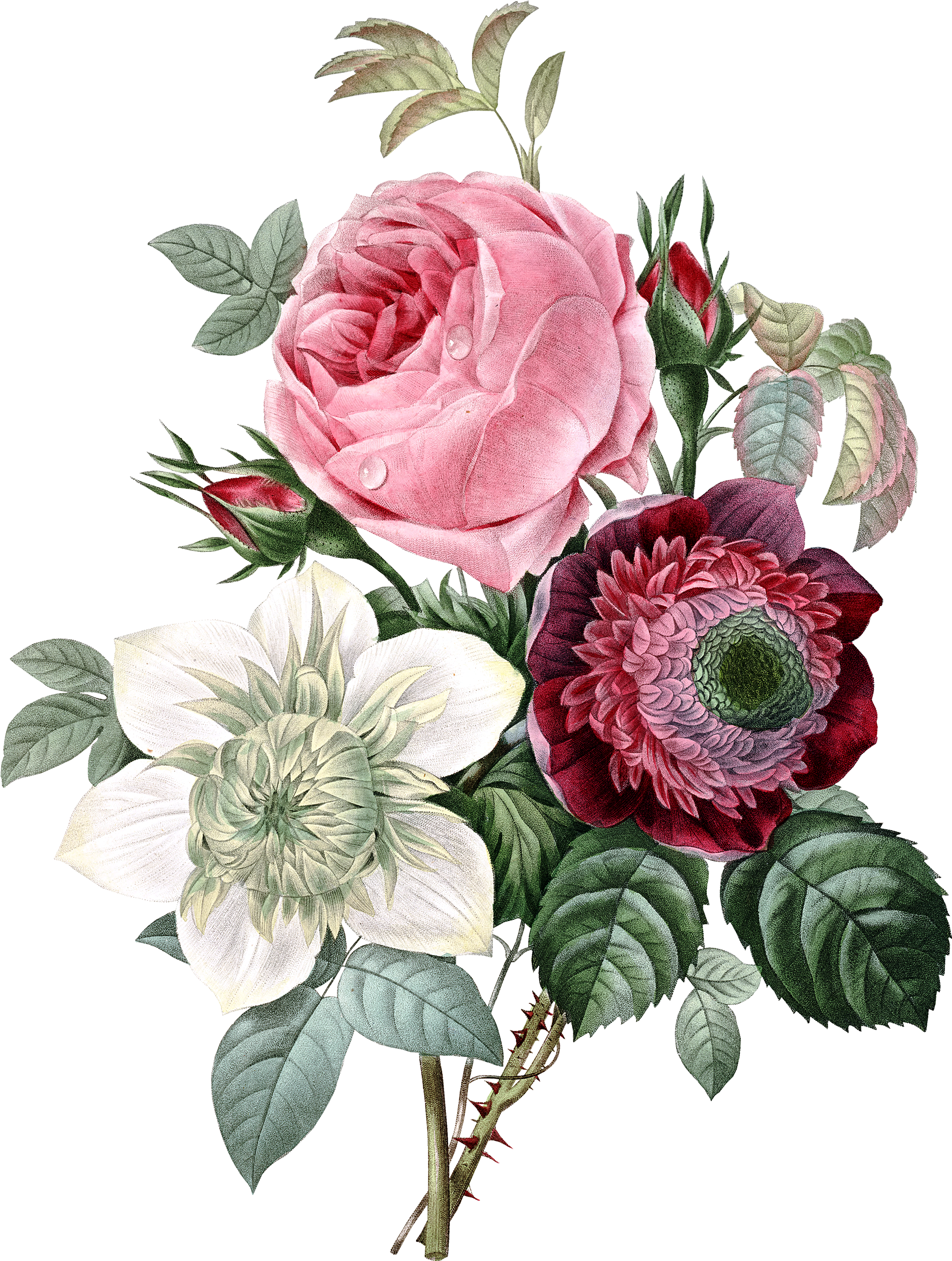 Today I Have Some Gorgeous New Digital Printables That - Vintage Flower Flower Stickers (2400x3000)