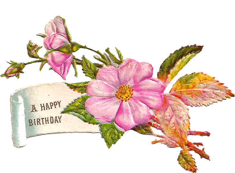 This Is A Very Pretty Digital Label I Created From - Birthday (950x653)