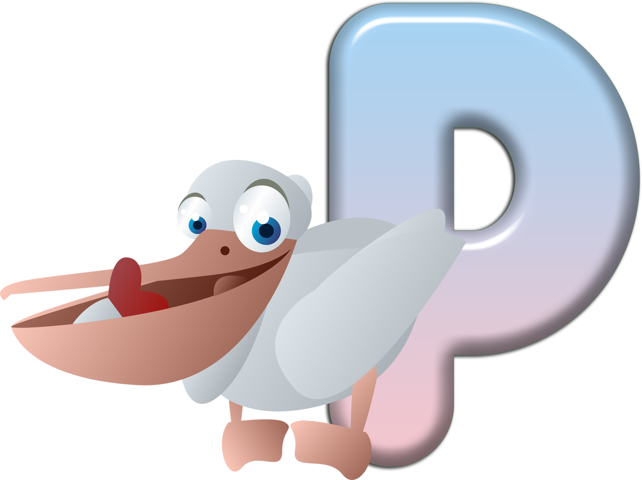 Flores Y Letras Para Decoupage - Cartoon Pelican Shower Curtain (1280x958)