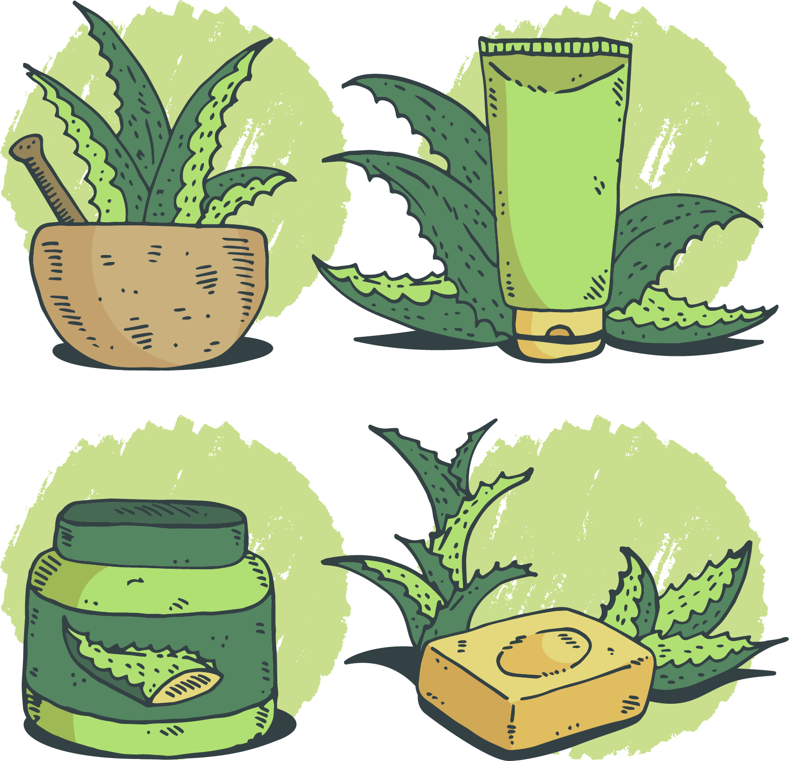 Drawing Soap Watercolor Painting - Aloe Vera (1571x1516)