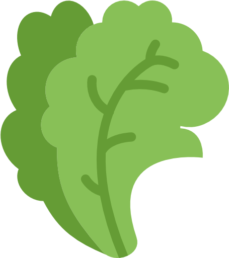 Salad Free Icon - Salade Icon Png (512x512)