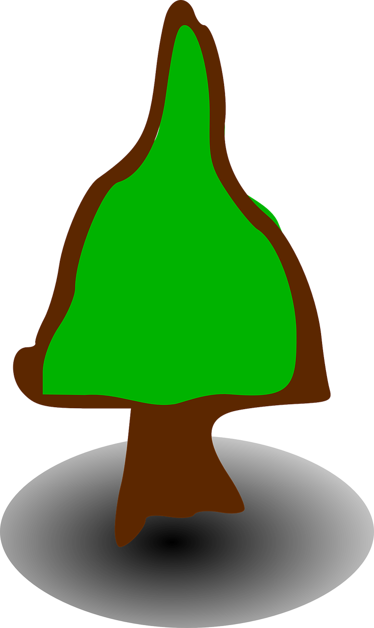 Tree Symbols Signs Conifer Png Image - Çizgi Ağaç (763x1280)