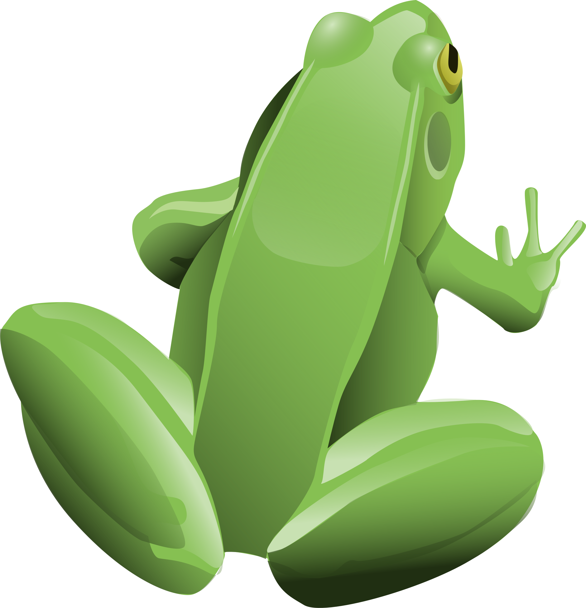This Free Icons Png Design Of Cool Frog - Green Frog Shower Curtain (2222x2304)