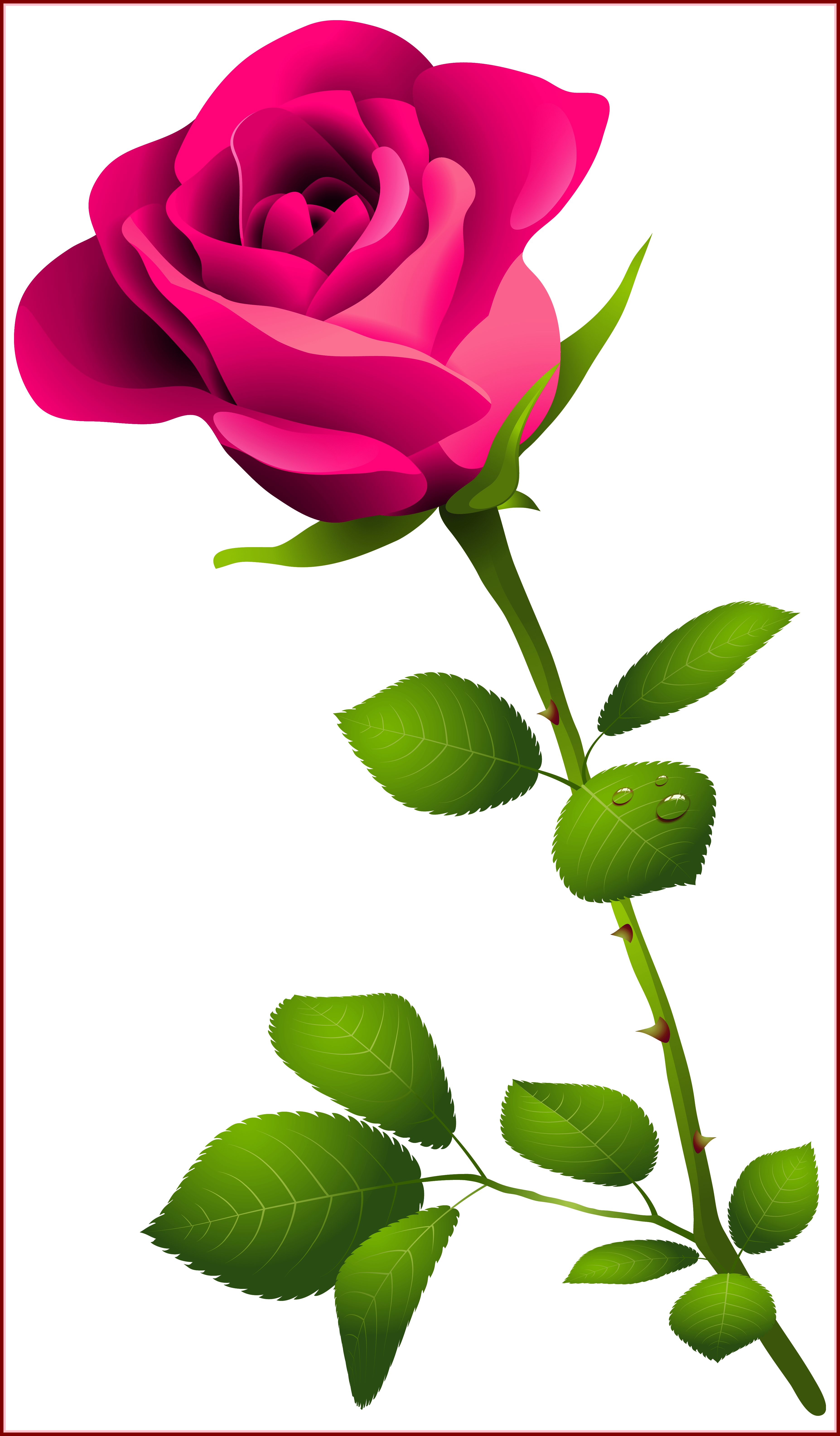 Rose Flower Rose Flower Images P Amazing Pink Rose - Happy Rose Day Image Download (3708x6336)
