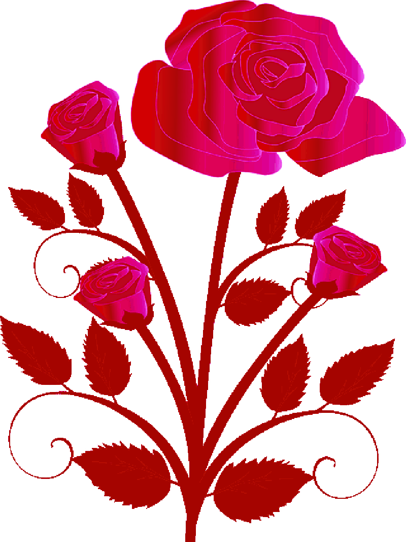 Bouquet, Flower, Rose, Red, Love - Rose (800x1066)