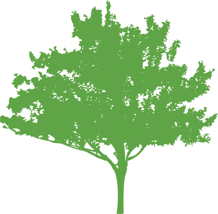 A Tree For A Loved One - A Tree For A Loved One (445x438)