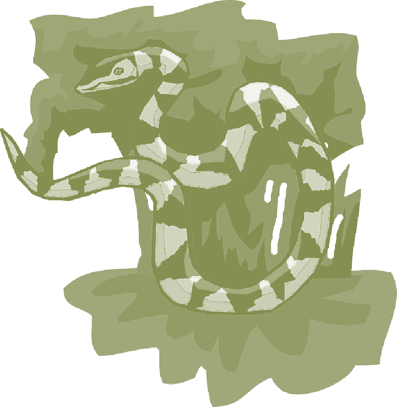 Black - Reptile (800x819)