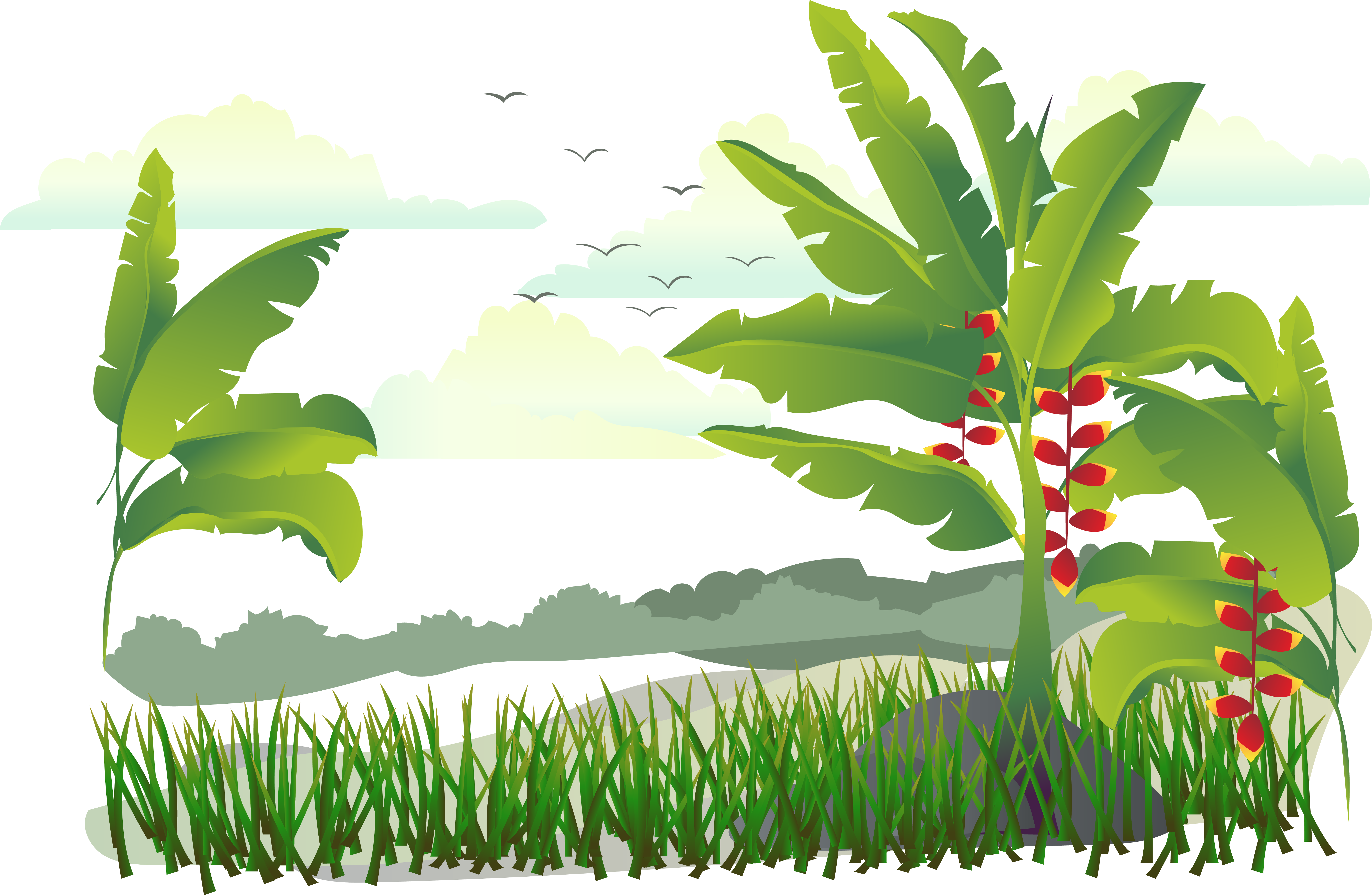 Island Tree Vector - Banana Tree Png (6722x4383)