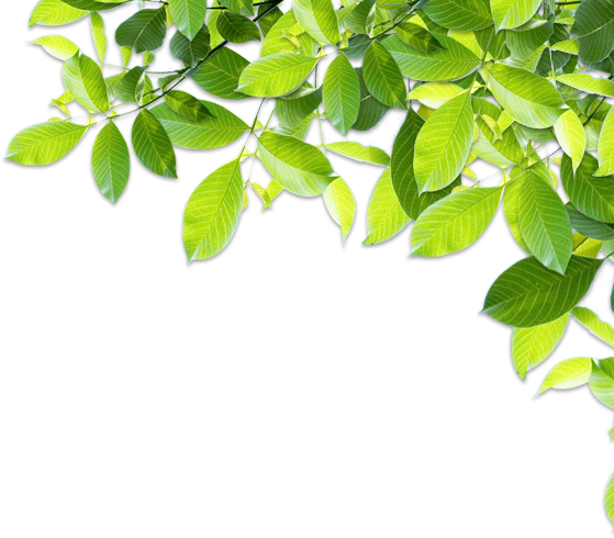 Alvin Bhs520 Paint Your Own Toucan Bird Kit (559x490)