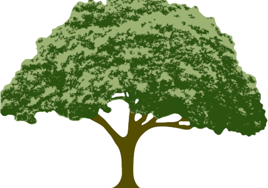 Mullett's Tree Surgery - Live Oak Homes Logo (552x388)