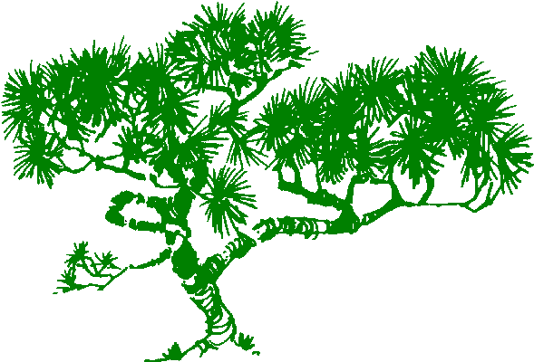 Hash Tree Company Homepage - Hash Tree (640x480)