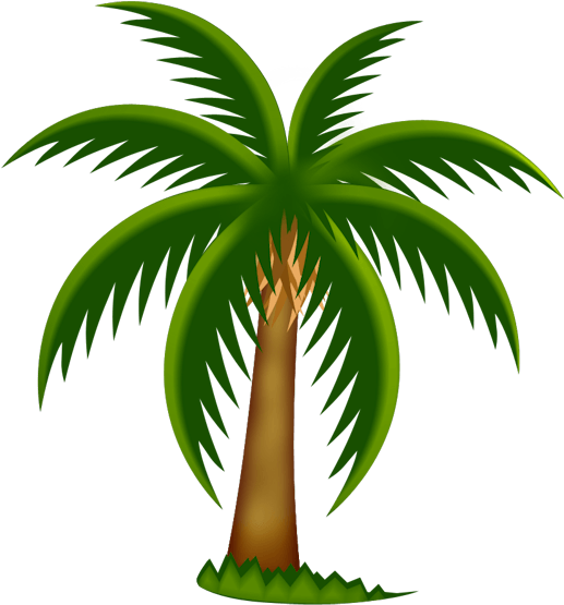 Palm Tree Picture Frame - Date Tree Clip Art Png (538x587)