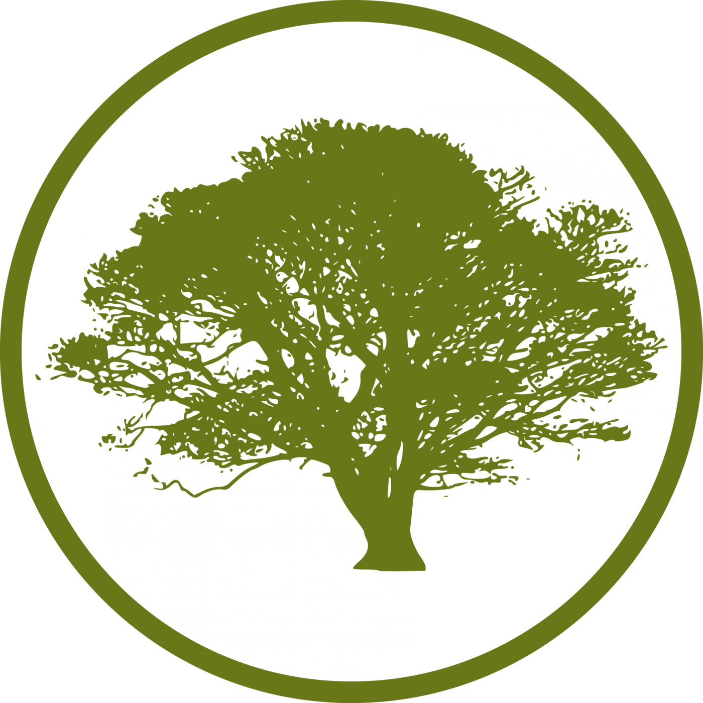 Cropped - Black And White Tree Clipart (1400x1400)