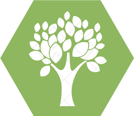 Grow - Katy Ely (607x607)