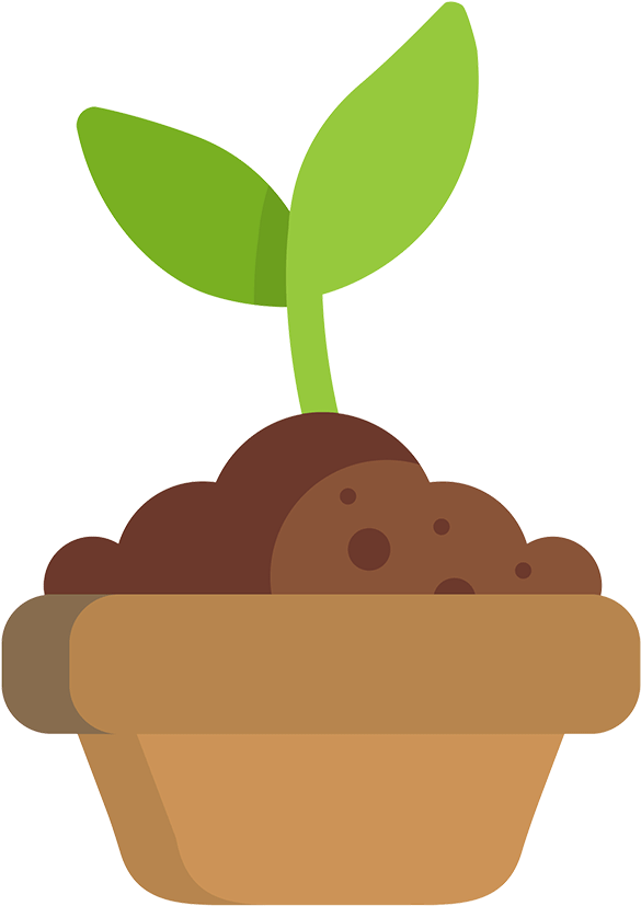 Certification - Transparent Growing Plant Gif Animation (600x843)