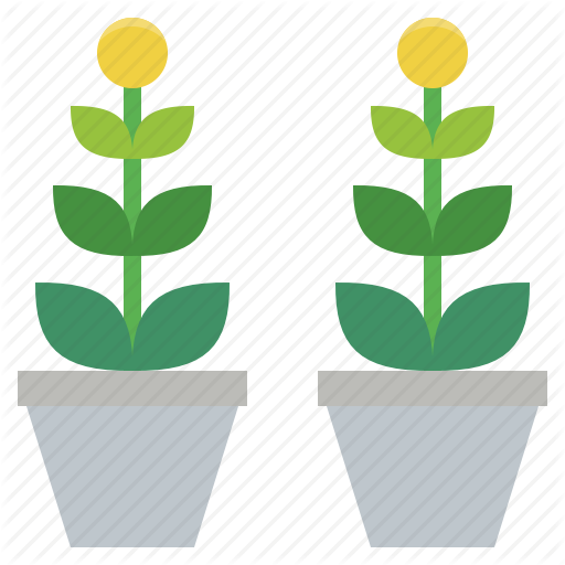 Potted Plants Clipart Ornamental Plant - Flowerpot (512x512)