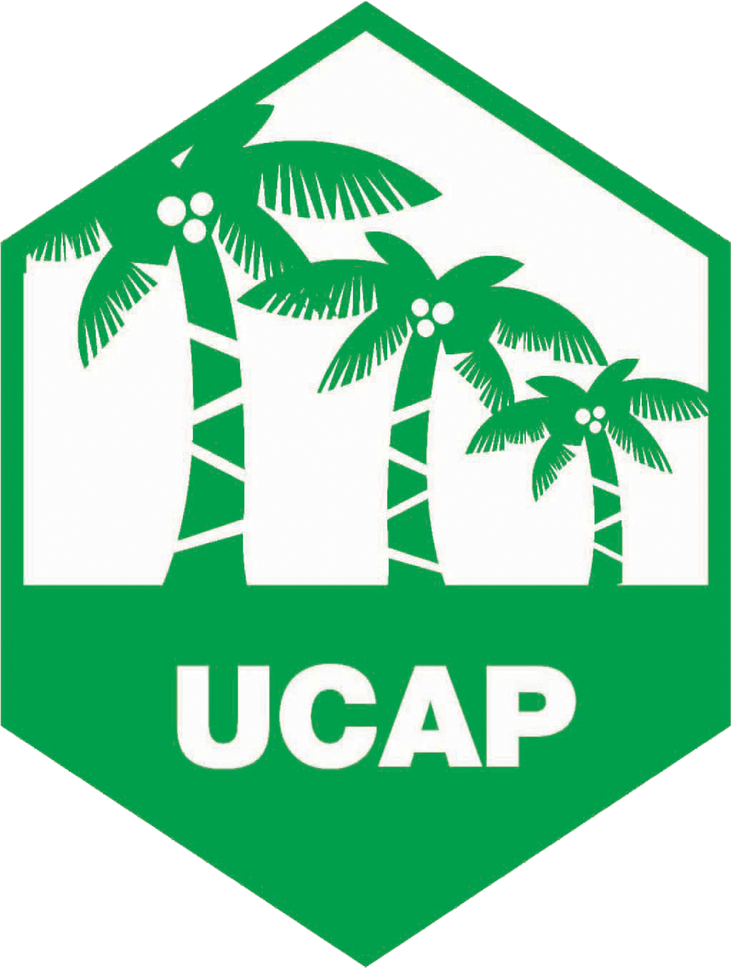 United Coconut Association Of The Philippines, Inc - Exhibit - World Coconut Congress (1024x1356)