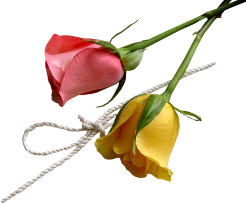 [ Img] - Poema De Bom Dia (497x413)