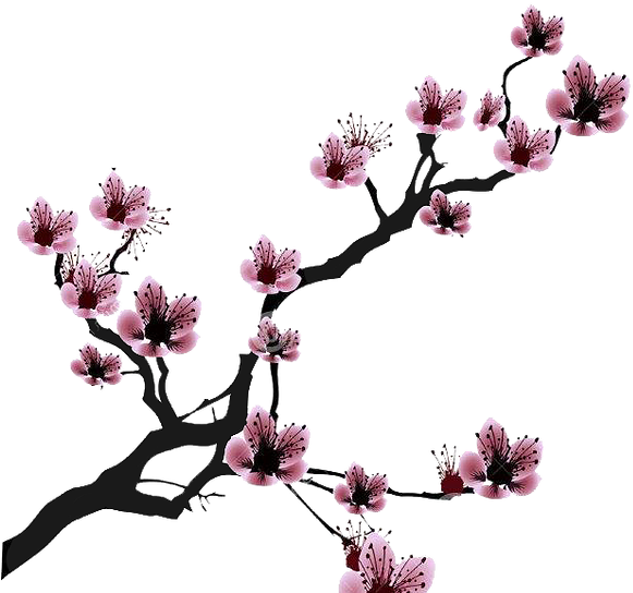 Cherry Blossom Drawing Clip Art - Black And White Cherry Blossom Clip Art (683x614)