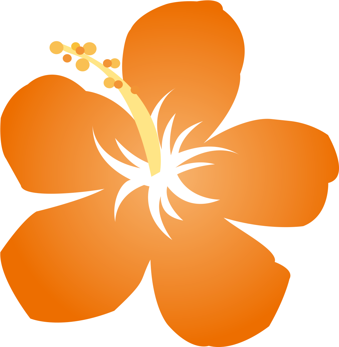 Hibiscus Clipart Png Download - Illustration (1181x1181)