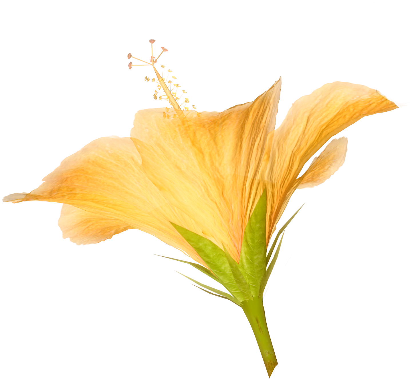 Hibiscus Leaf Clipart Download - Clip Art (1433x1323)