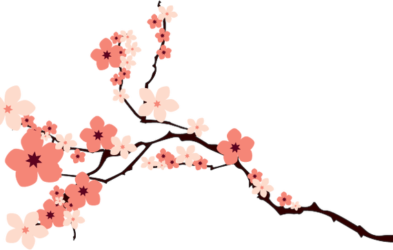 Mob File, V - Cherry Blossom Clip Art Png (570x363)