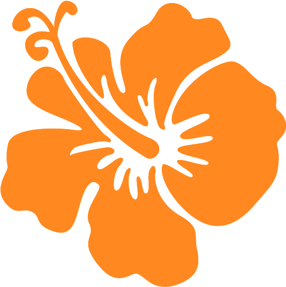 Suivant - Hawaiian Hibiscus (800x800)