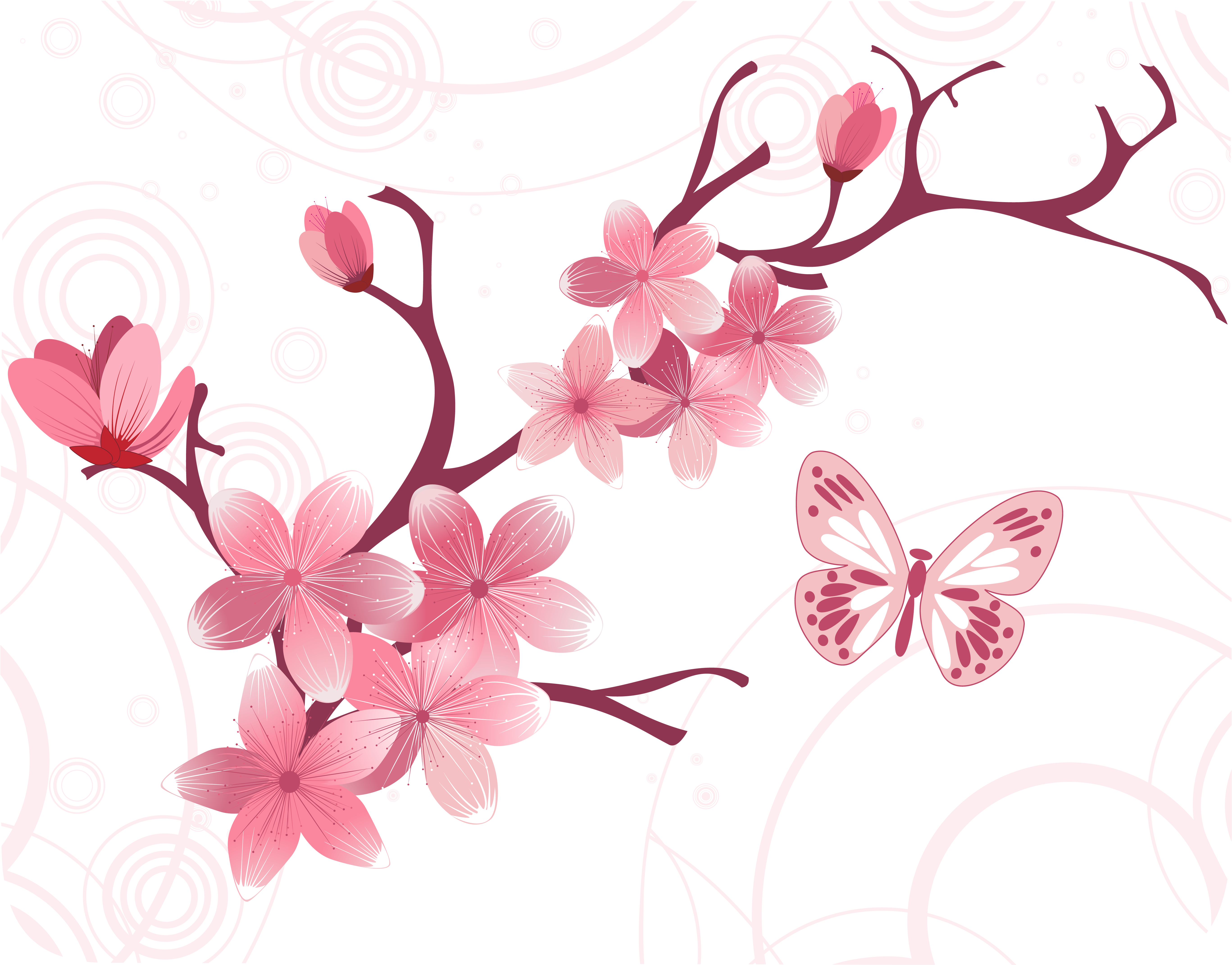 Ветка сакуры рисунок пнг