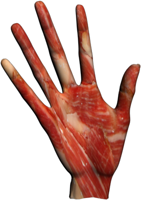 Zombie Hand By 32cherry - Zombie (640x480)