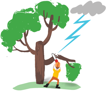 Toronto Storm Damage - Cartoon Images Transparent Storm Tree (375x379)