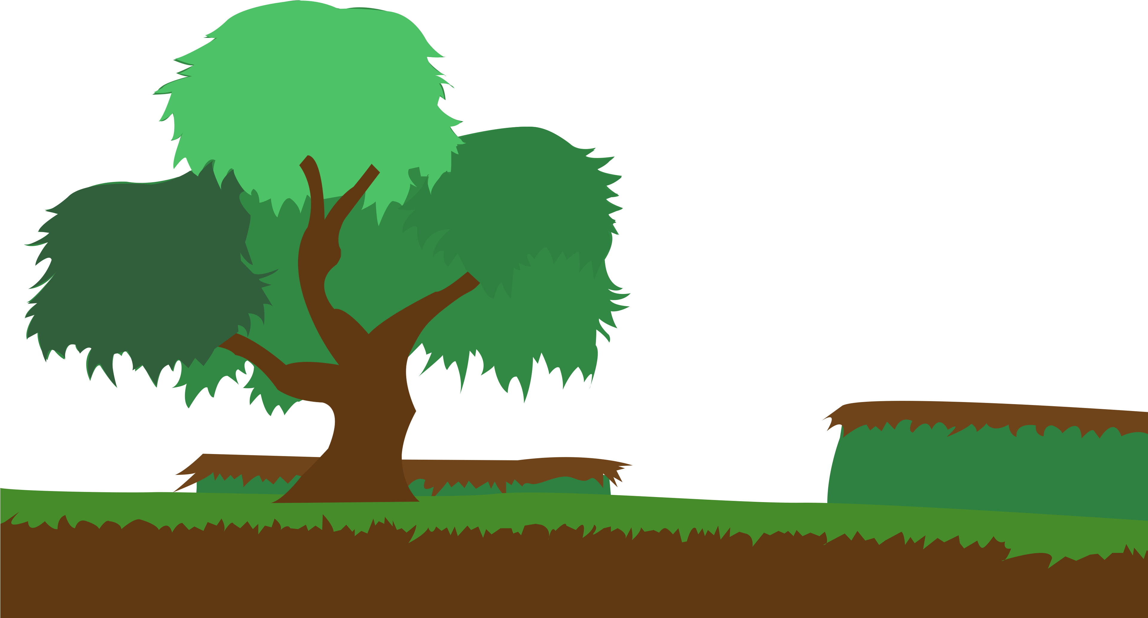 Woody Plant Tree Cartoon - Transparent Background Tree Cartoon (3840x2160)