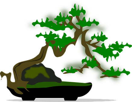 Bonsai Clip Art Flora Nature Plant Tree Bo - Bonsai Graphic Png (438x340)
