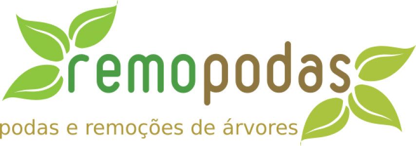 Remopodas - Church (854x300)