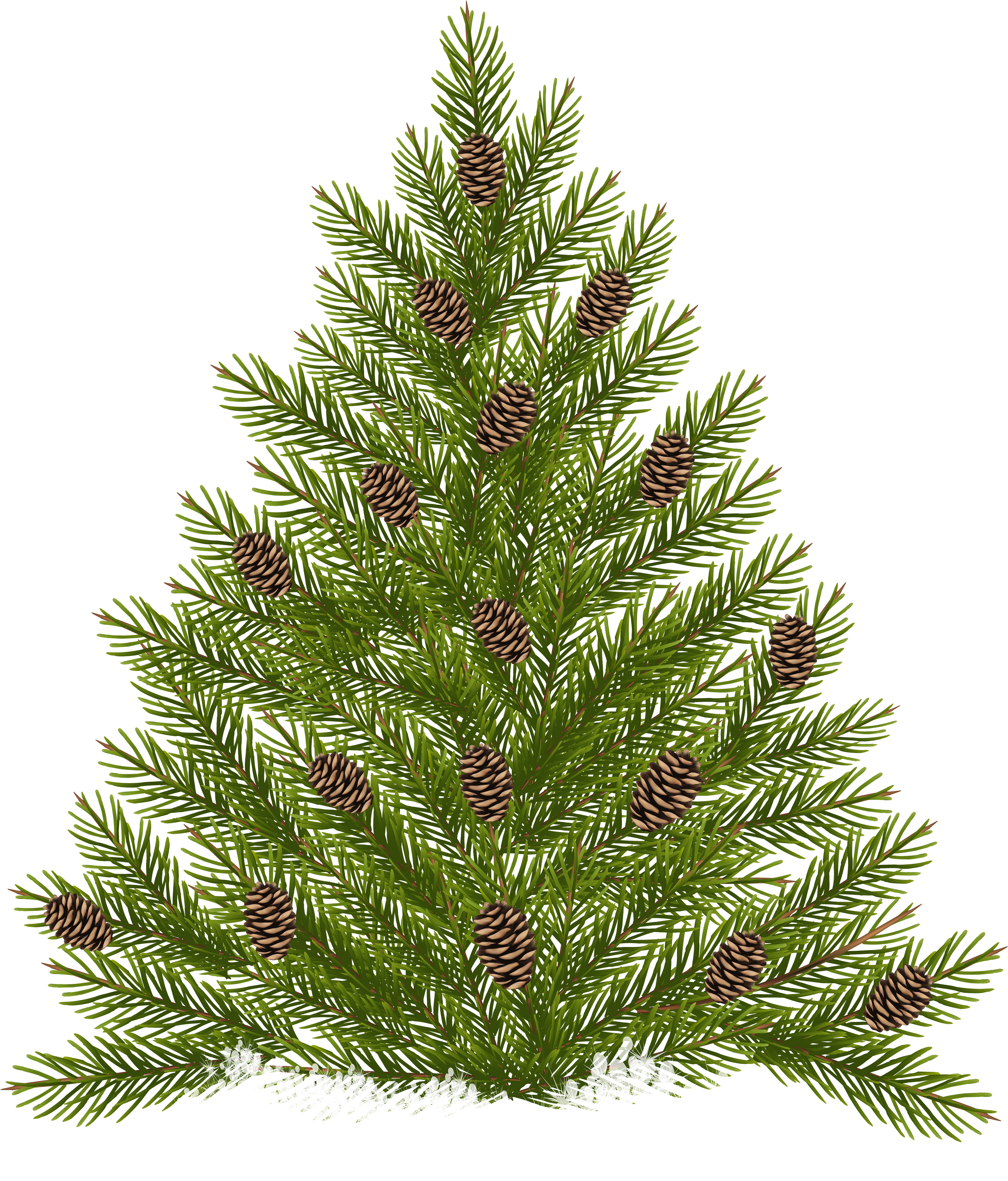 Pine Tree With Cones Transparent Png Clip Art - Pine Tree With Cones (3414x4000)