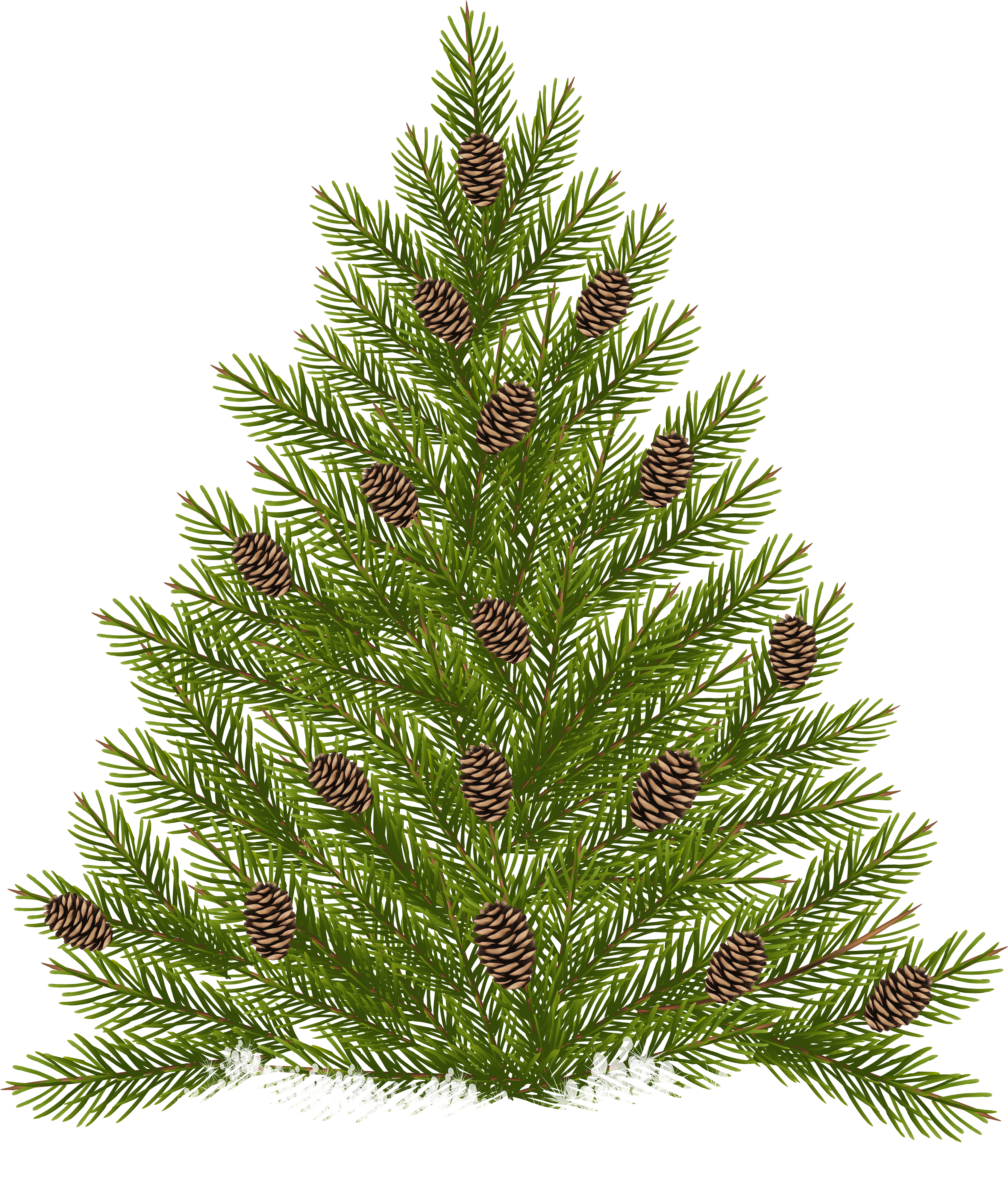 Ели Пнг