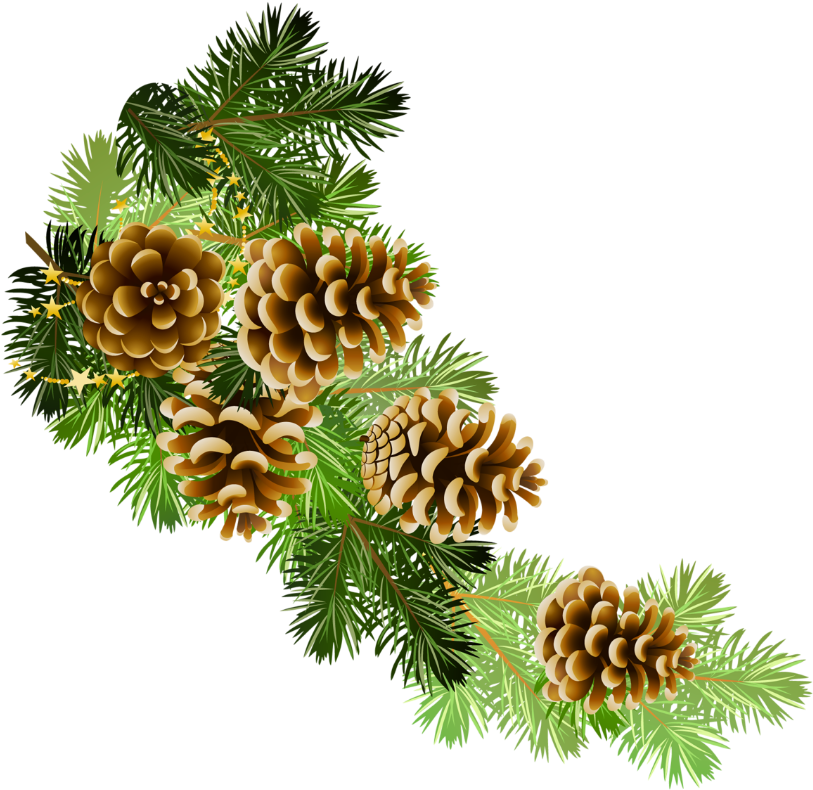 Cone Clipart Pine Tree Branch - Pine Cone Border Clip Art (842x828)
