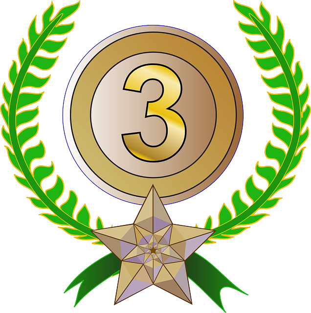 Award, Trophy, Laurel Wreath, Laurels, 3nd, Bronce - 3 Lugar Png (636x640)