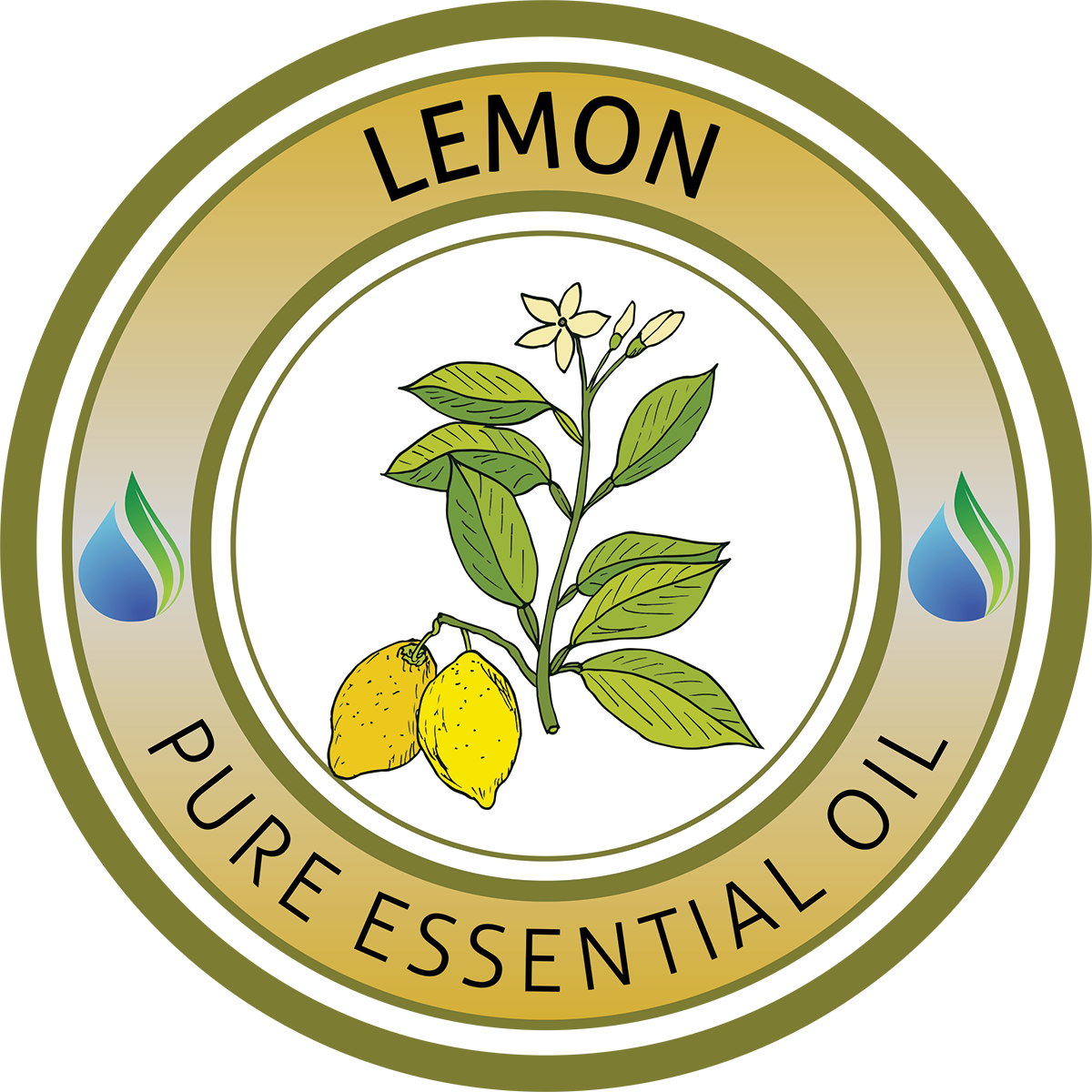 Essential Oil (1200x1200)